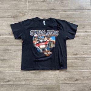 HARLEY DAVIDSON DESTROY TEE
